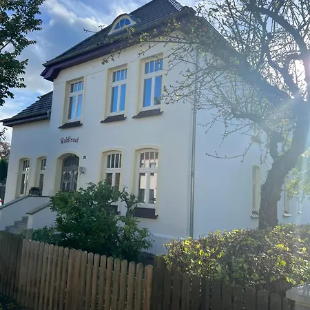 Apartment Jugendstil-villa Am Stadtwald
